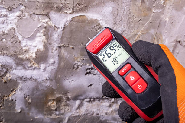 Mold Testing and Removal in Hales Corners, WI
