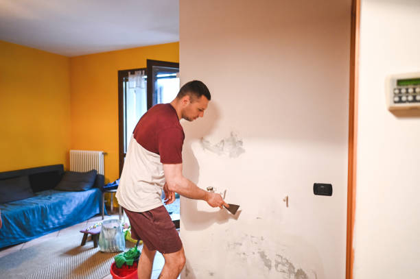 Best Toxic Mold Removal  in Hales Corners, WI